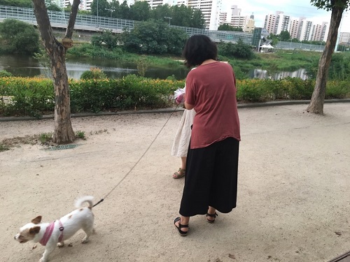 홍보사진 1