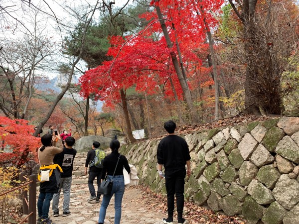 63922785725161714f1269c982e818ef_1604968