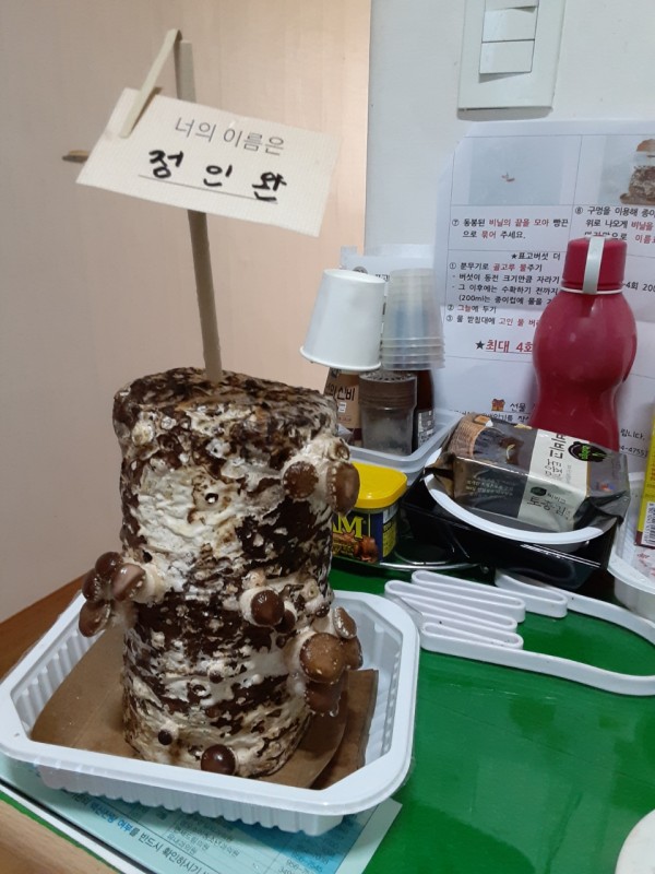 aa848c01e20ad3998b575716b3bb2a4e_1606893