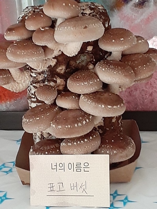 aa848c01e20ad3998b575716b3bb2a4e_1606894