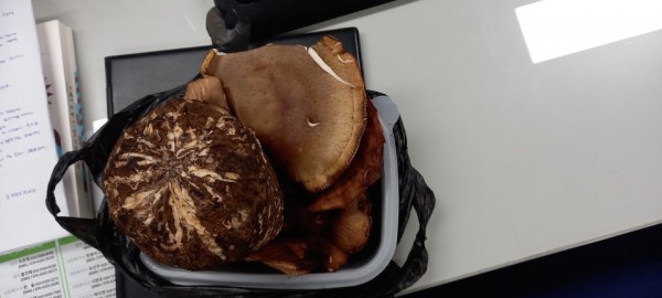 aa848c01e20ad3998b575716b3bb2a4e_1606894