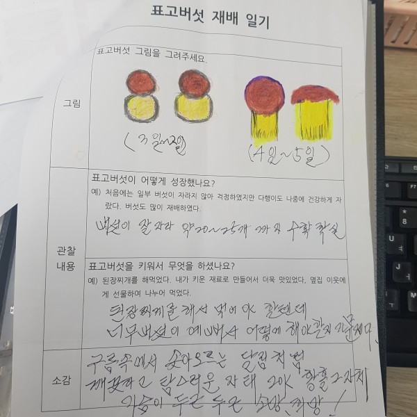 aa848c01e20ad3998b575716b3bb2a4e_1606894