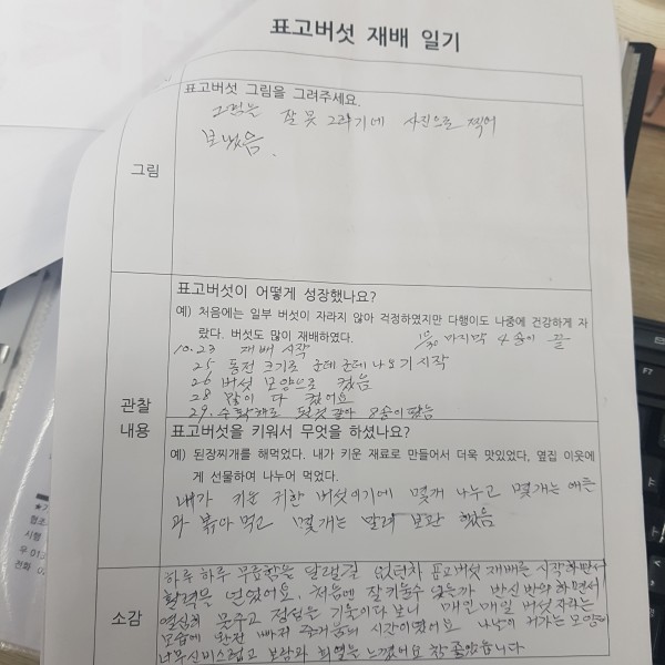 aa848c01e20ad3998b575716b3bb2a4e_1606894