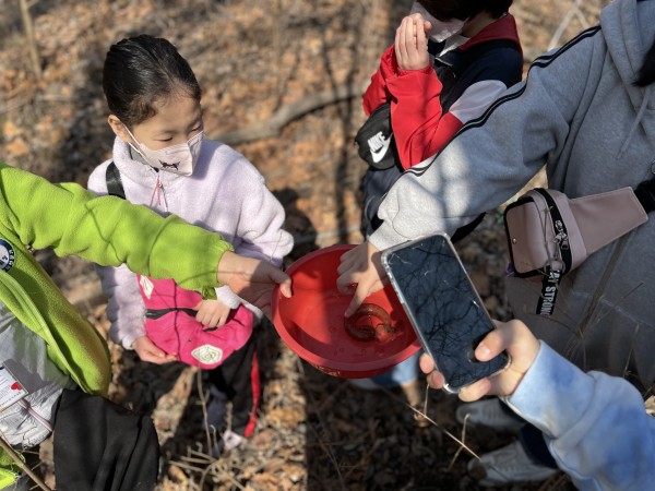 c2ee3aac9ab76863cd482083439f93cd_1652084